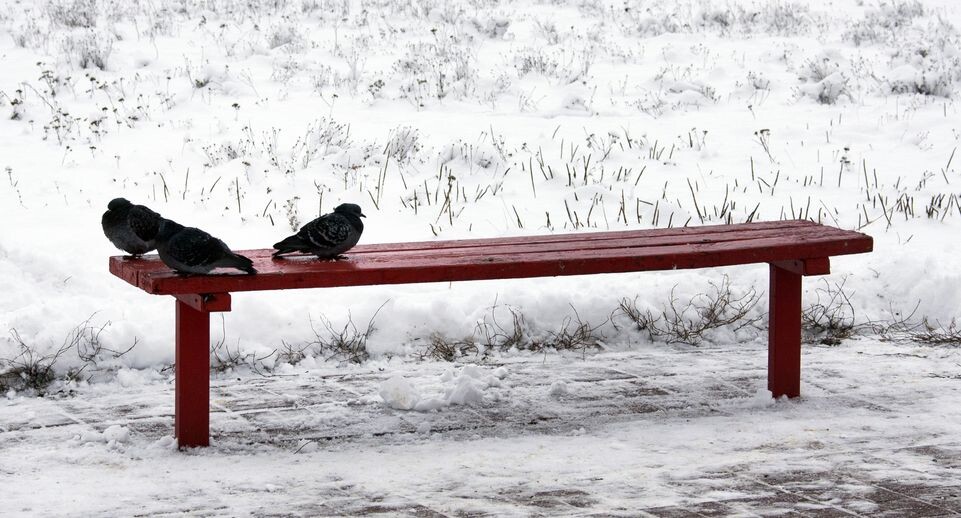    Снегопад в Черноголовке / Медиасток.рф