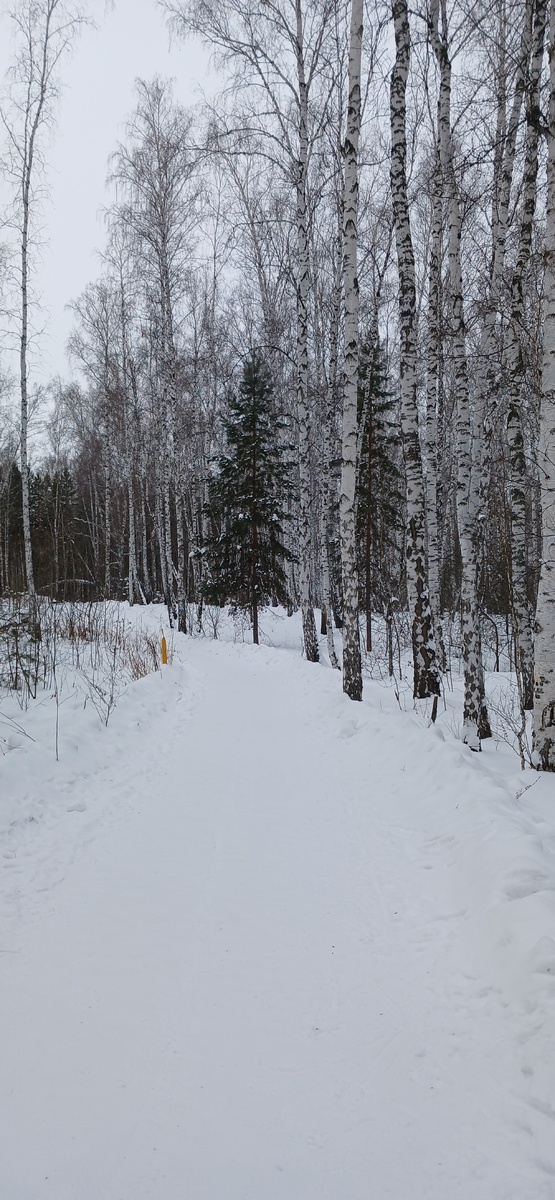 "Доброе утро, мир! Ты прекрасен!" Фото автора