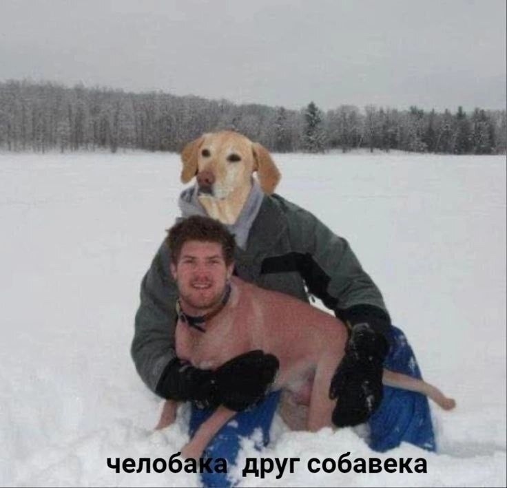 Смех из социальных сетей! Забавные шутки, забавные случаи и веселые рассказы. Фото взято из общедоступных ресурсов соцсетей.