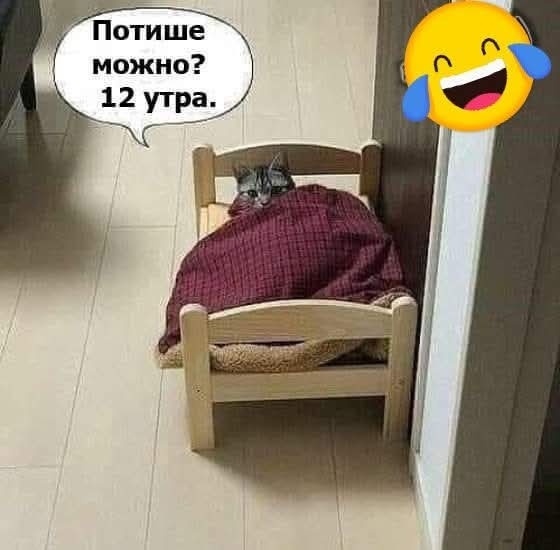 scale_1200