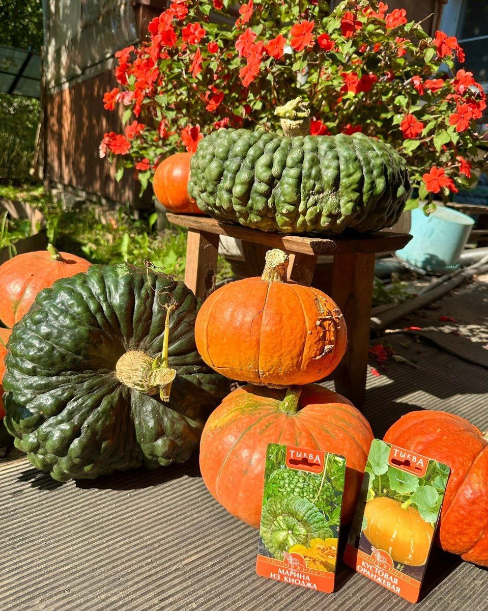 Фото Марины Песковой