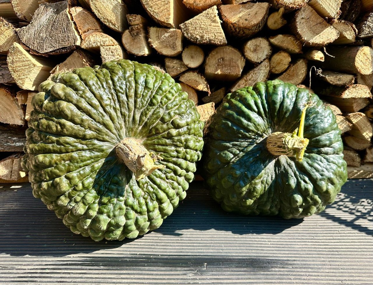 Фото Марины Песковой