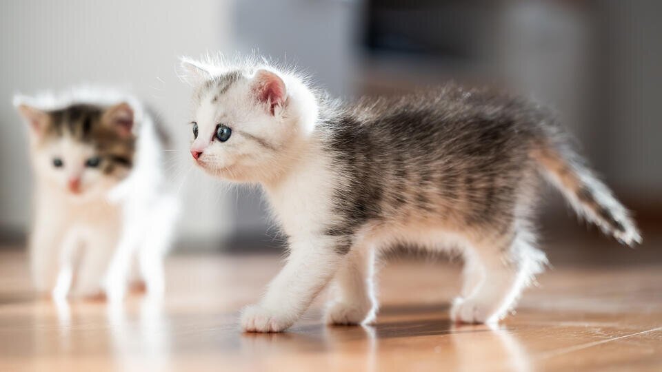 Фото: © www.globallookpress.com/Silas Stein/dpa