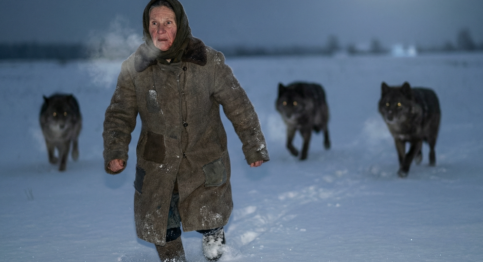 Ночью в поле на старушку напала стая волков