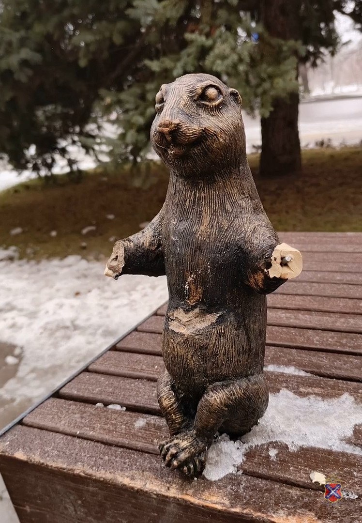 Фото: ГУ МВД России по Волгоградской области