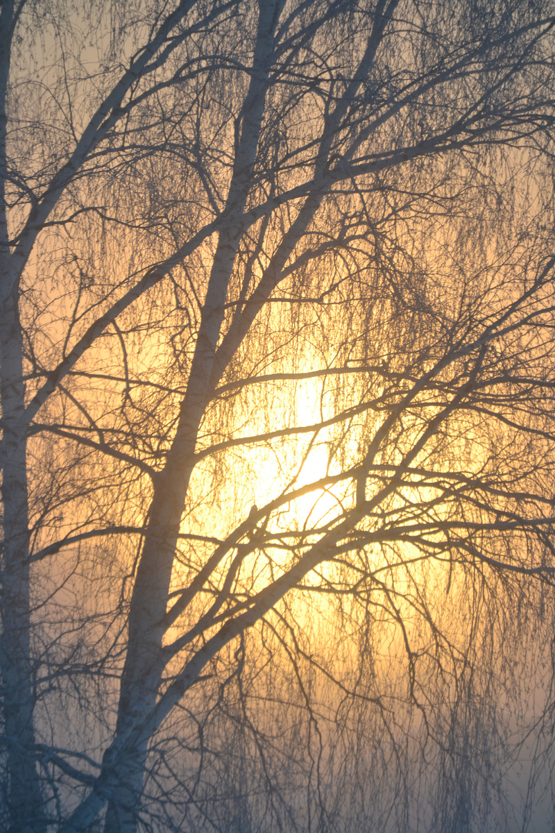 Морозное утро