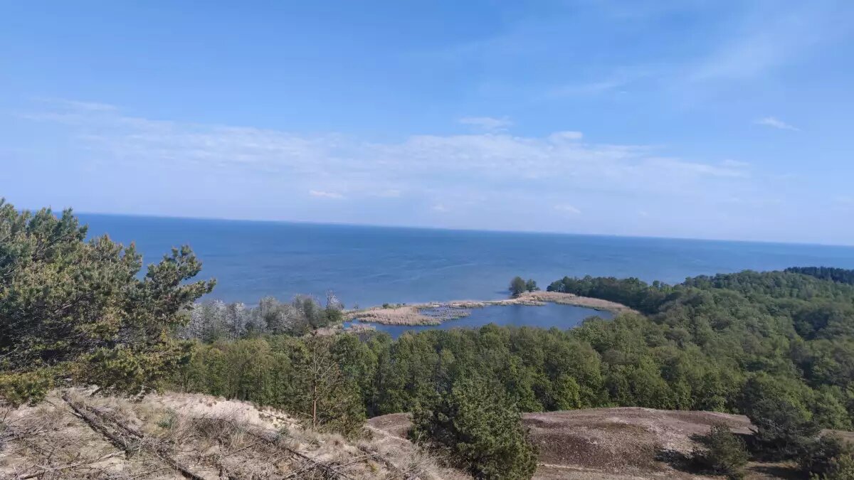    Обложка истории