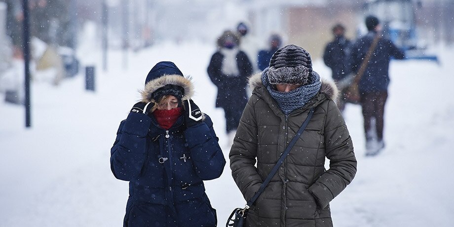    Фото: Москва 24/Александр Авилов
