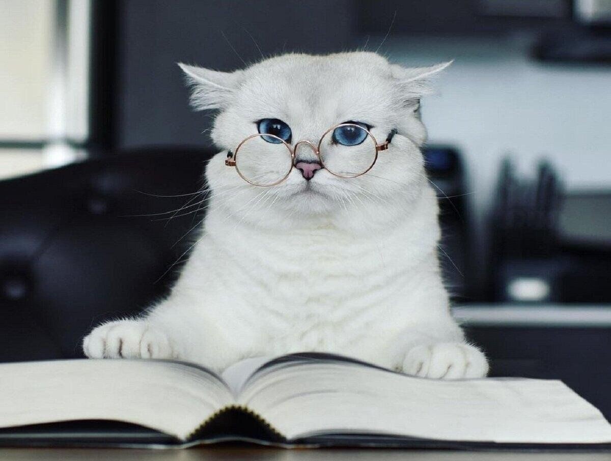 источник Яндекс