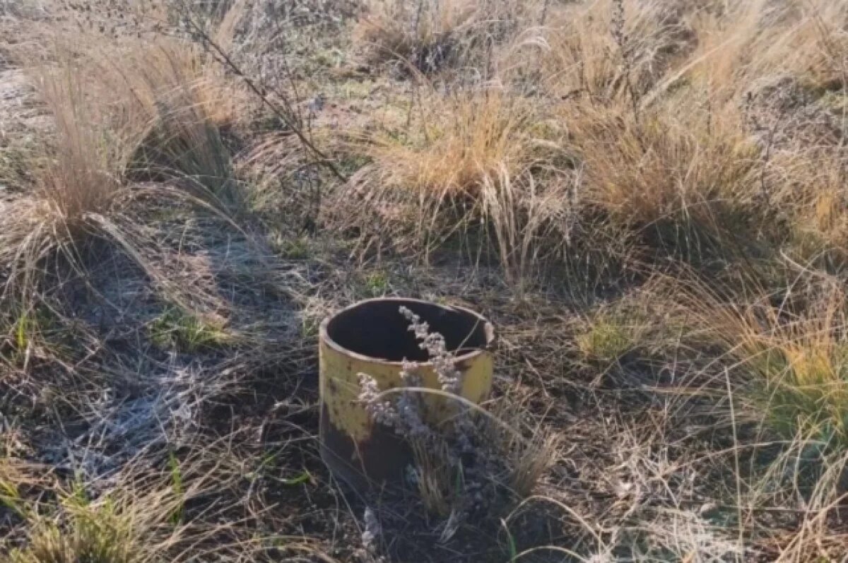    Оренбургский природоохранный прокурор выявил признаки преступления в рамках проведения проверочных мероприятий.