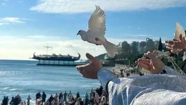    © Telegram-канал главы администрации Ялты Янины Павленко