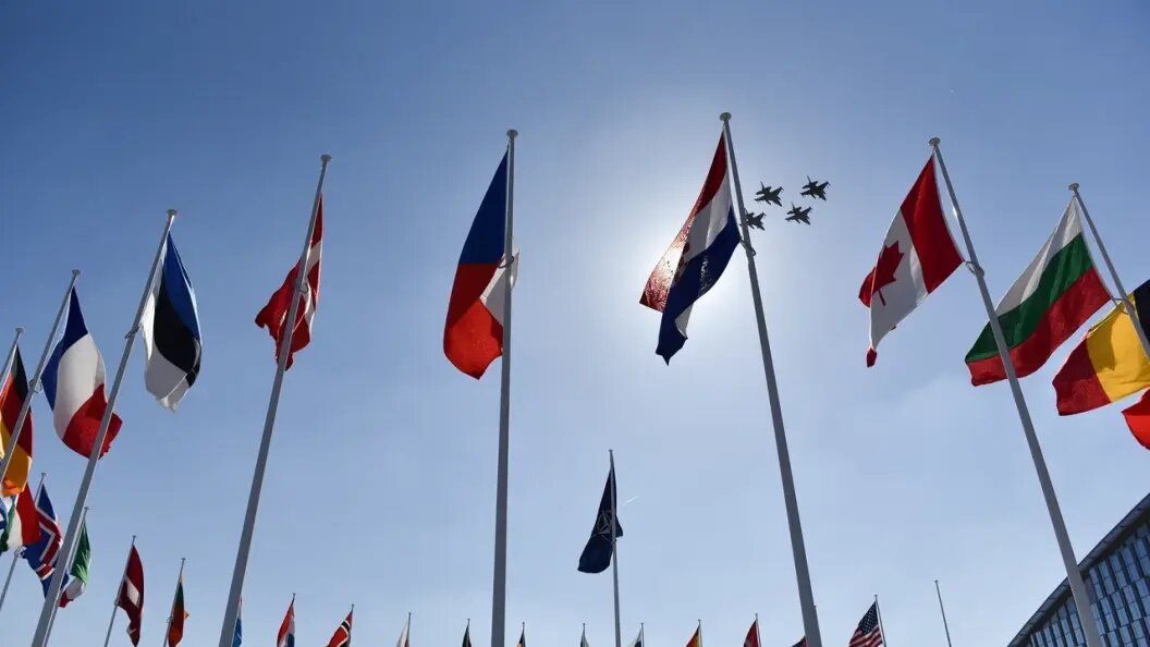    Dragos Asaftei/shutterstock