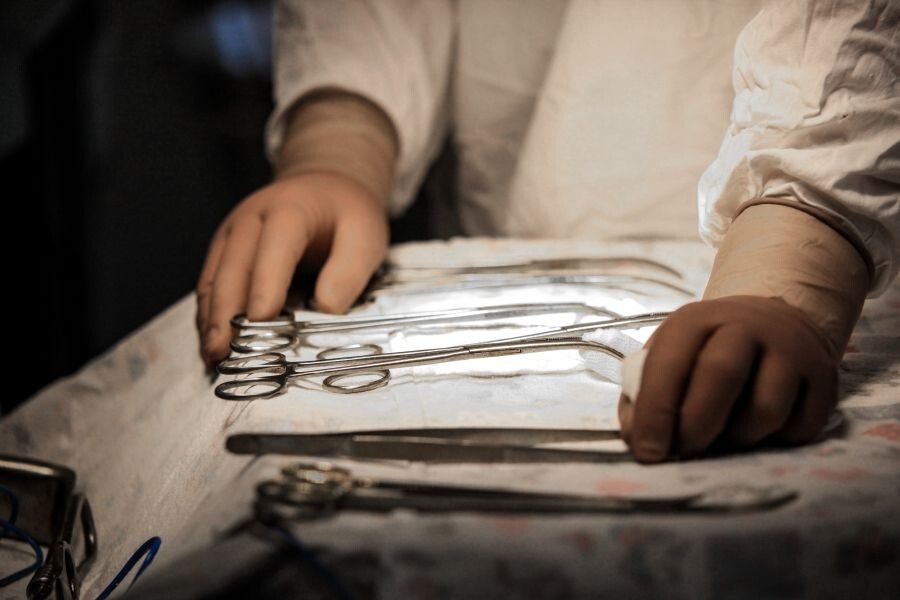     / Источник: © Кирилл Шипицин/РИА Новости