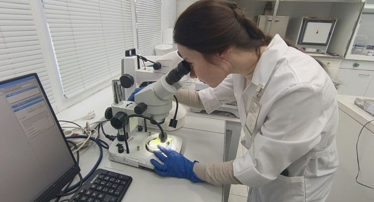    Фото: ФГБУ ЦОК АПК