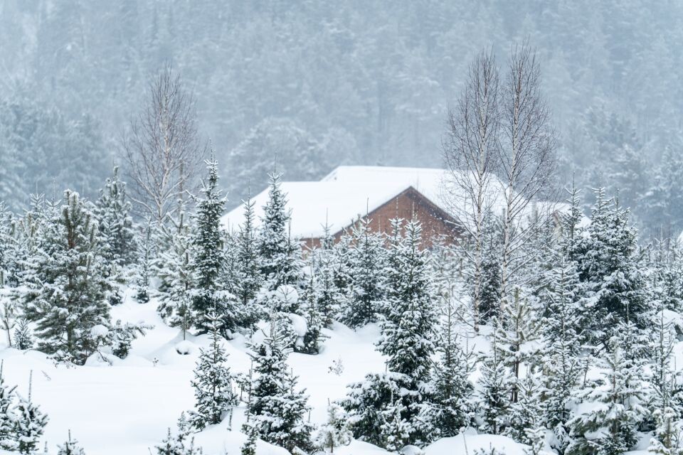    Турочак в разгар зимы. Источник: Андрей Сороко / "Толк"