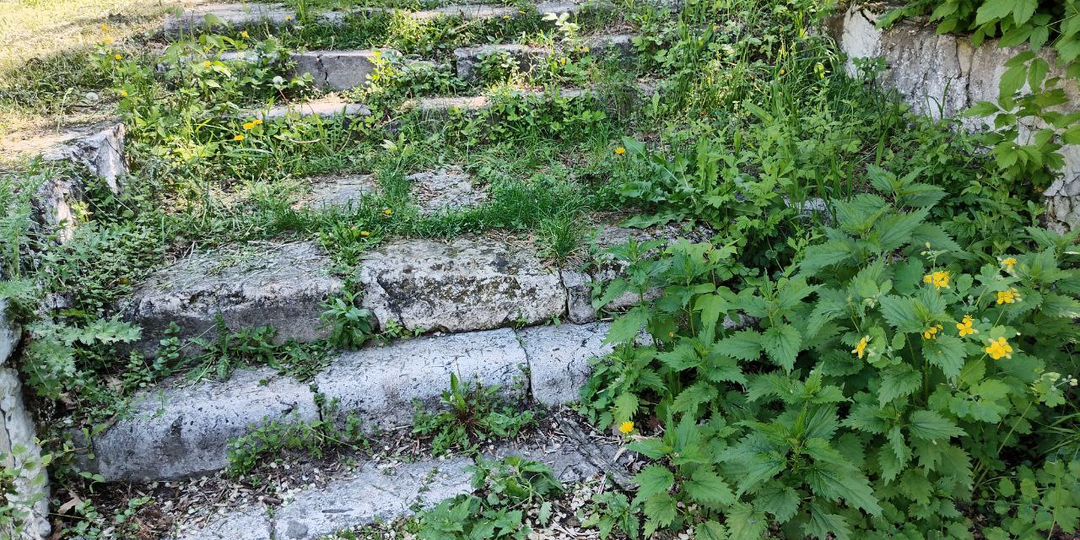 Сердце сироты. Глава 12.