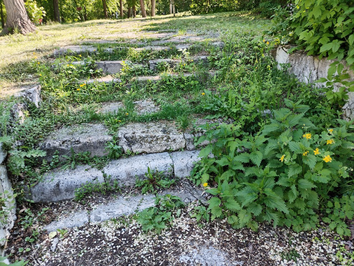 Фото автора.