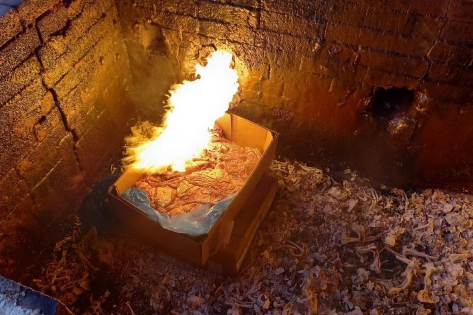    Содержимое коробок не совпадало с документами. Фото: пресс-служба Северо-Западного межрегионального управления Россельхознадзора