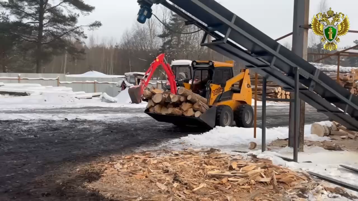 Скриншот видео