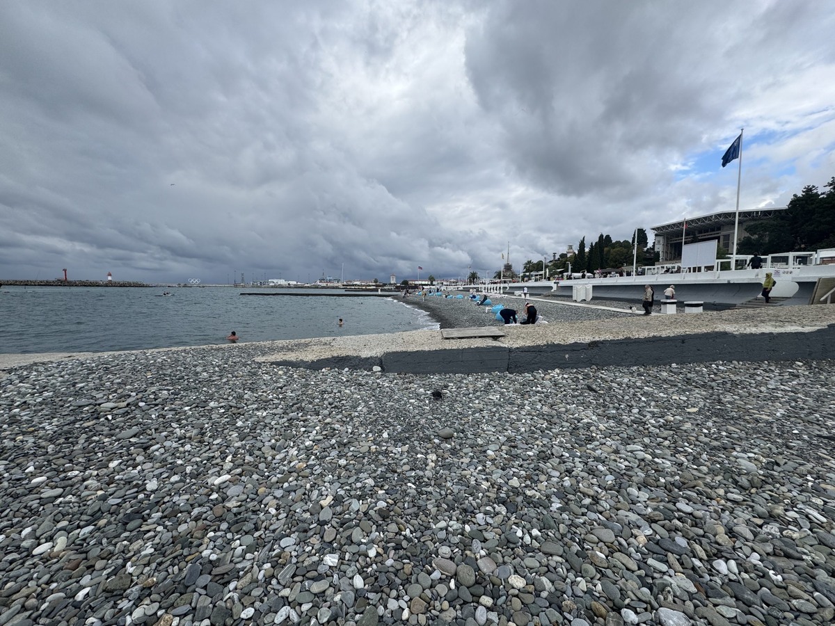 фото: Сочи 24  📷
