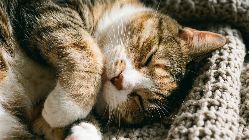   Сгенерировано с помощью ИИ