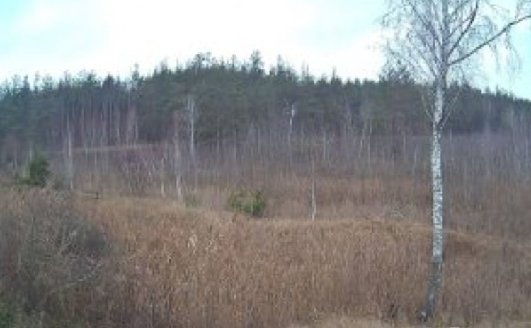    Фото: Управление Россельхознадзора по Орловской и Курской областям