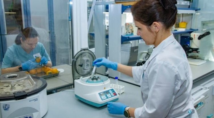    Фото: Минсельхозпрод Республики Татарстан