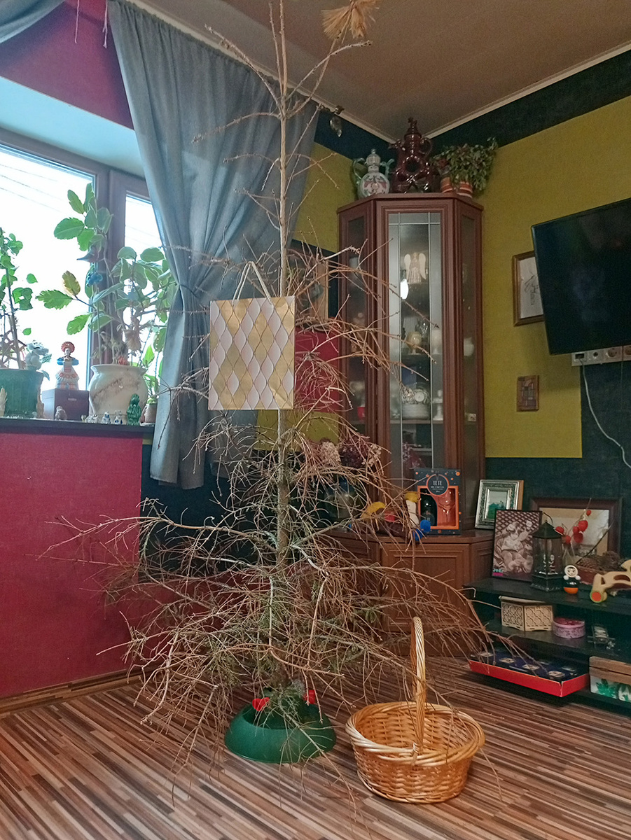 Всех с прошедшими, сегодня крещение - поздравляю. Елка постоит несколько дней, до марта, пустьстоит и радует. "Каждой иголочкой радовает нас."