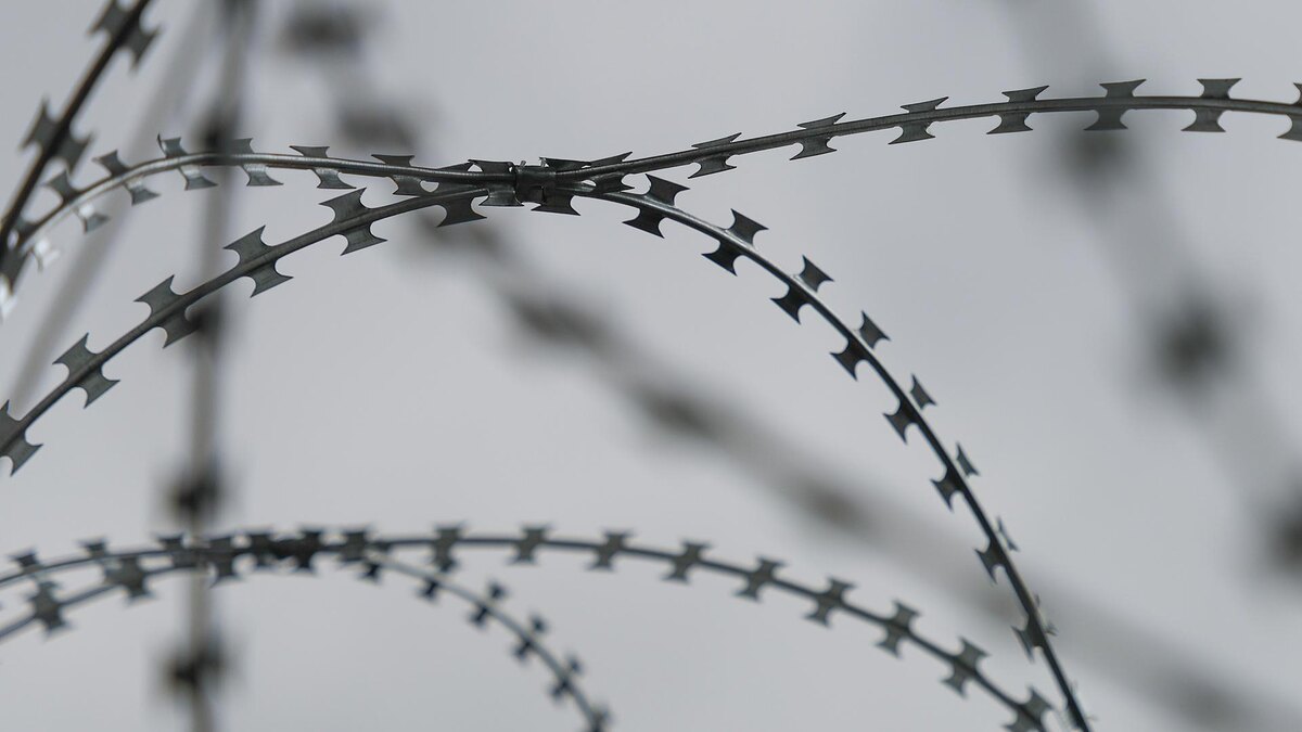    Фото: Belkin Alexey/globallookpress.com