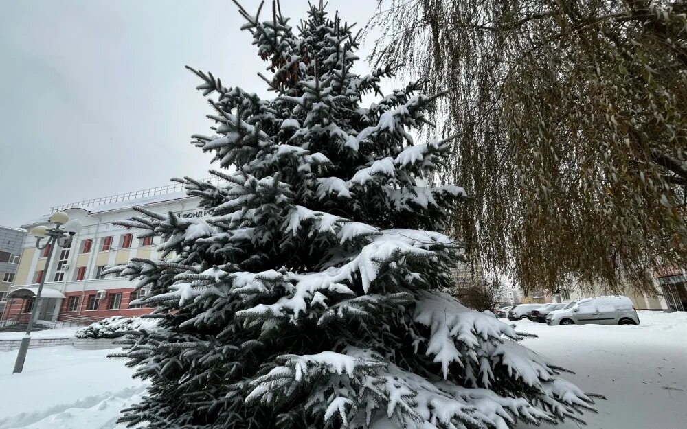    Фото: "Брянские новости"
