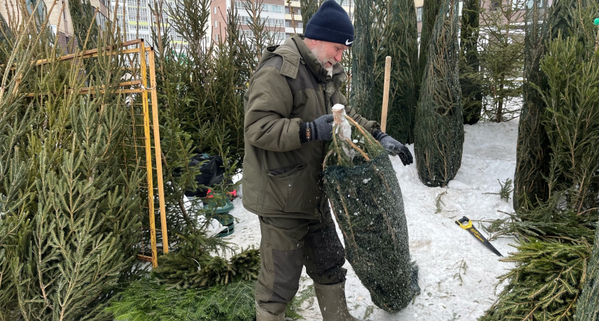    Фото: progorod43.ru