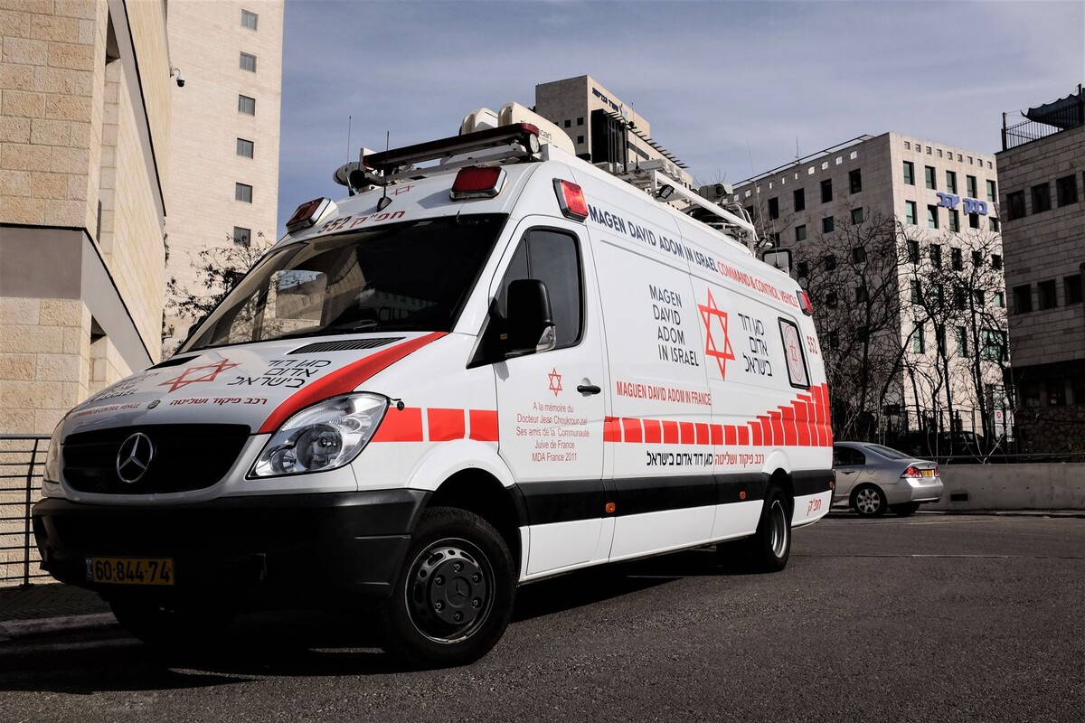     / Источник: © Global Look Press