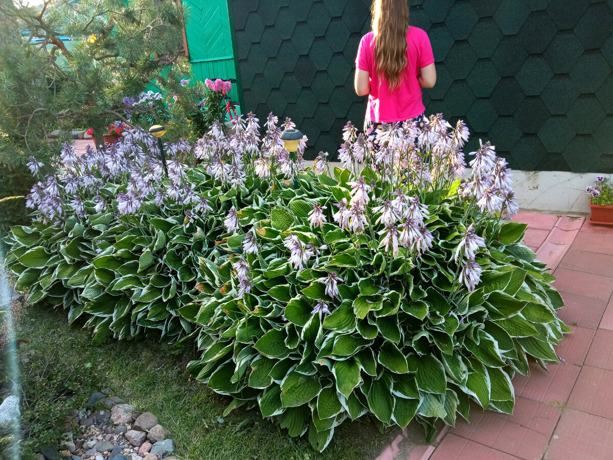 Франсе лет пять назад