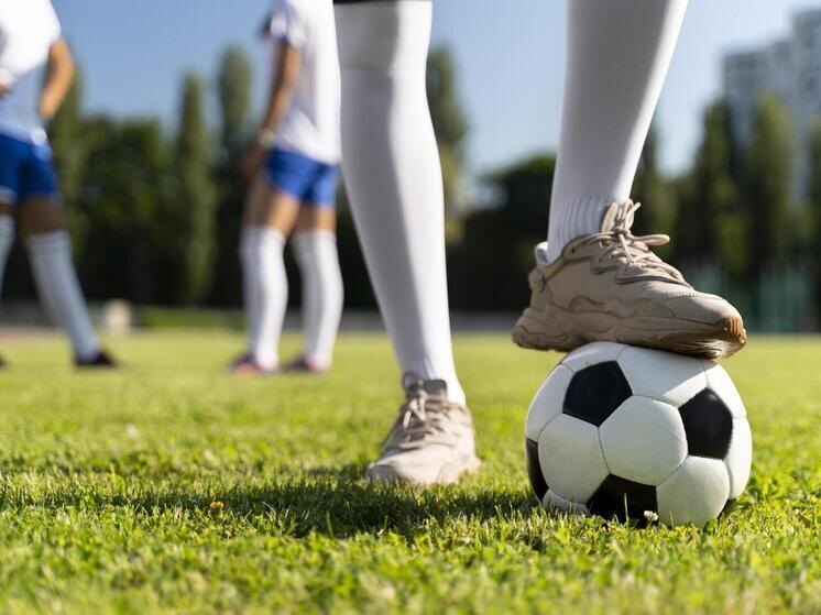     фото: ru.freepik.com