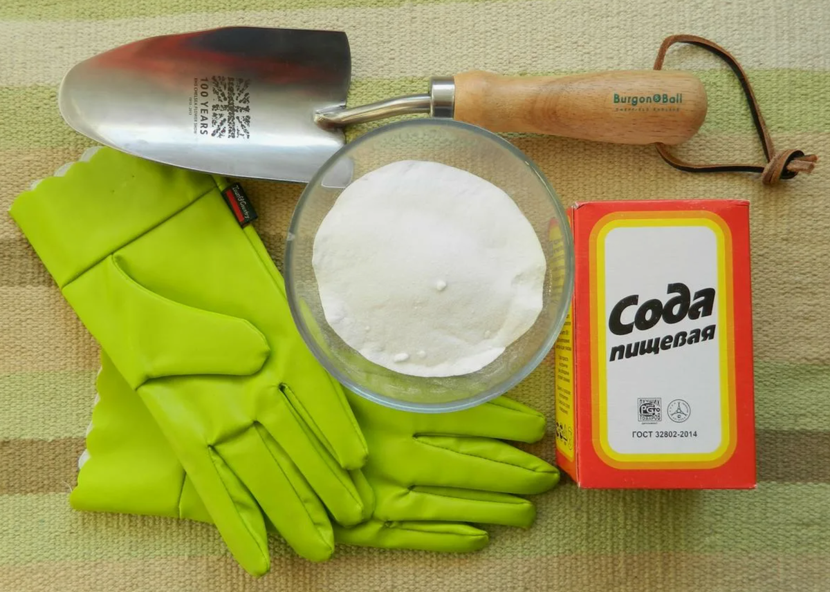 Источник фото: 7dach