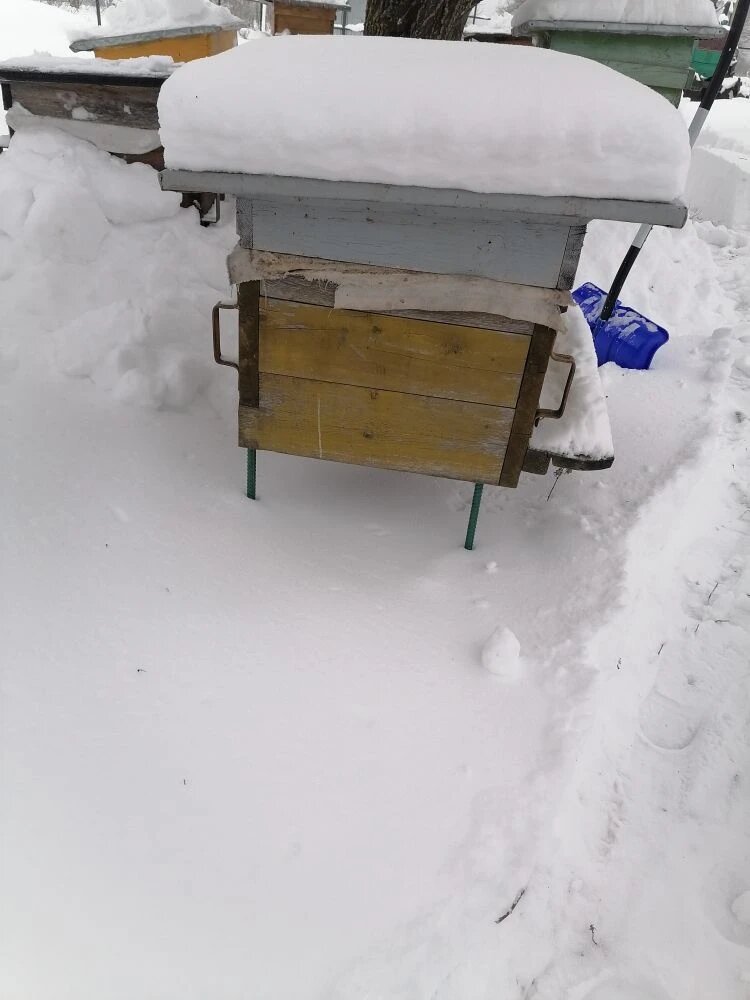 Вот на таких подставках стоят у меня улья