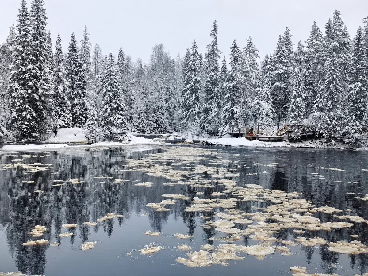 Автор: Дорофеева Ольга