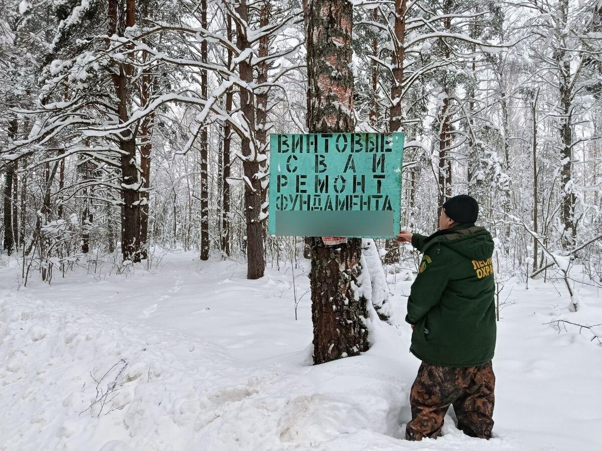    Фото: Комлесхоз МО