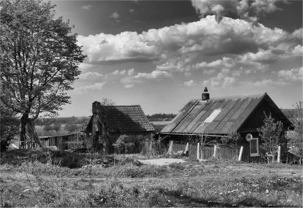 Взято из открытых источников интернета Яндекс.