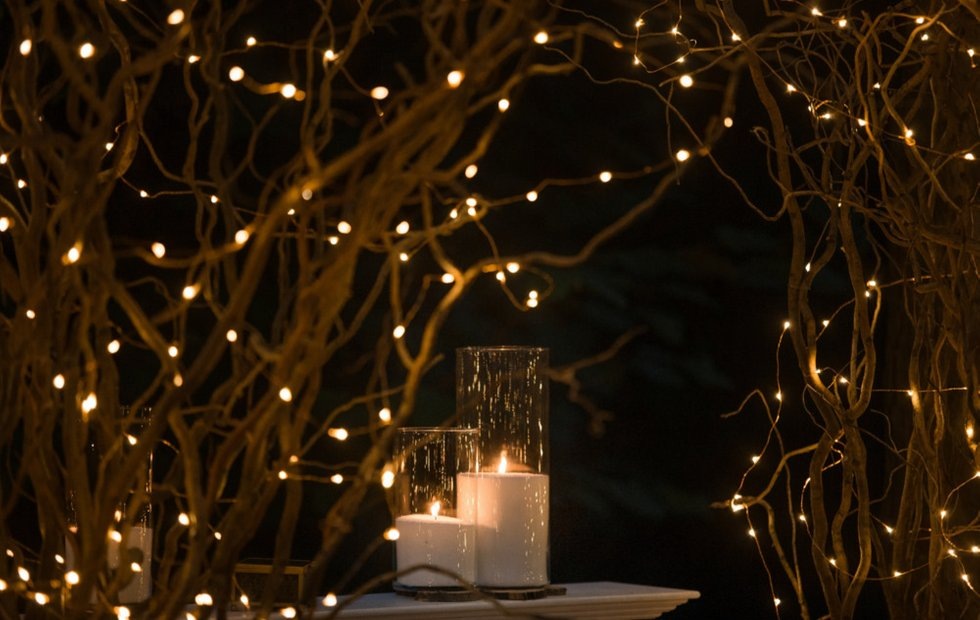 Фото с сайта: freepik.com