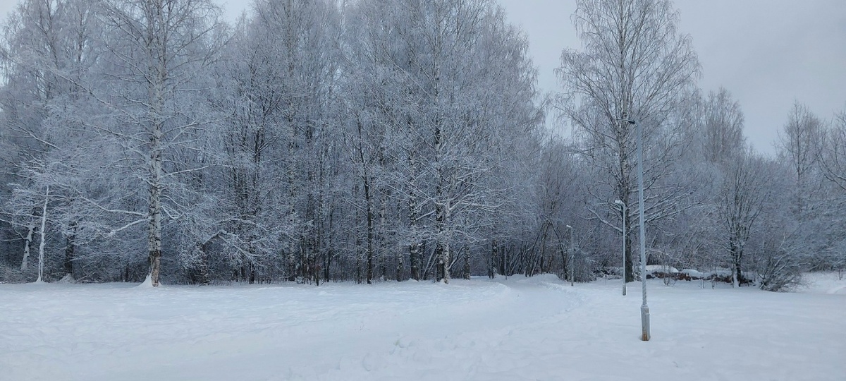    Редакция портала "Город Киров.RU"