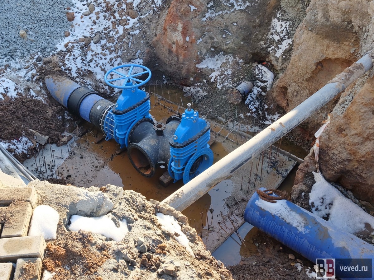     Фото: Владислав Постников / Вечерние Ведомости