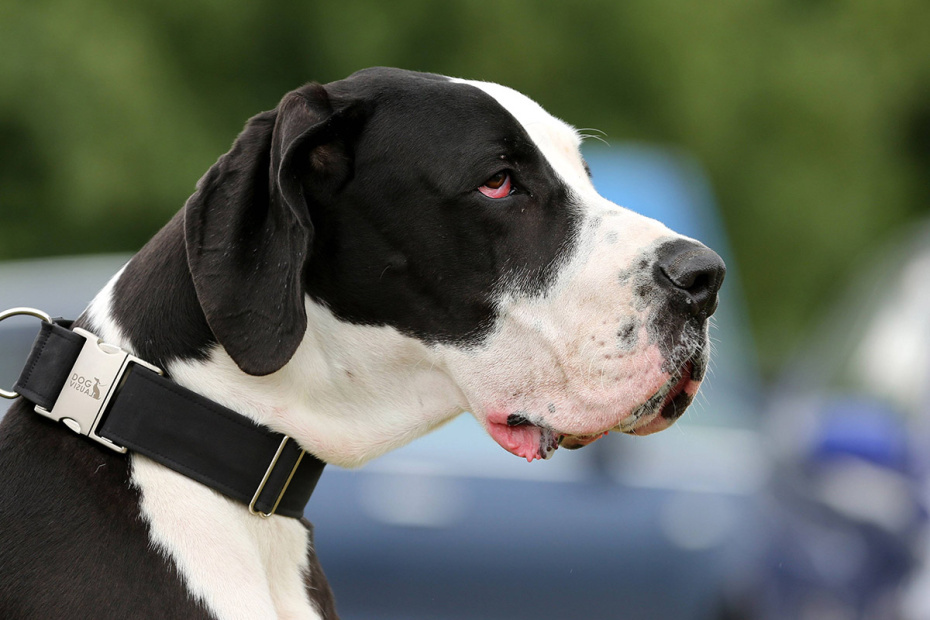    KH/imago stock&people/Global Look Press