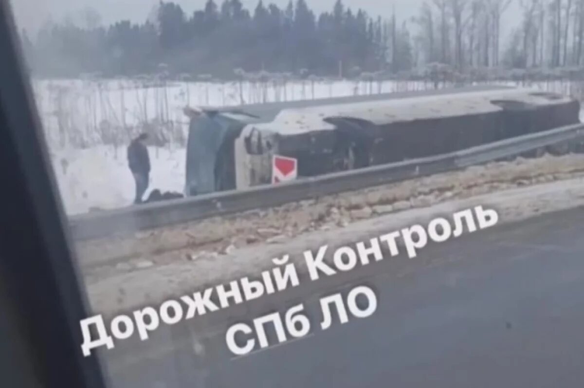    В Кингисеппском районе после ДТП с автобусом возбудили уголовное дело