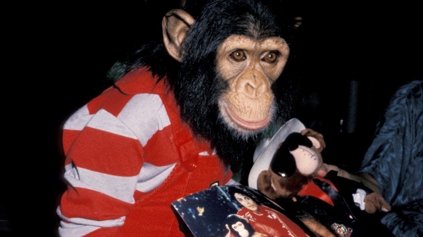 Фото: Jim Smeal/Ron Galella Collection via Getty Images