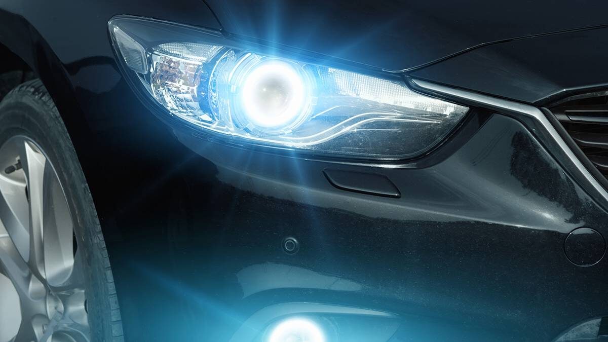    Фото: Shutterstock