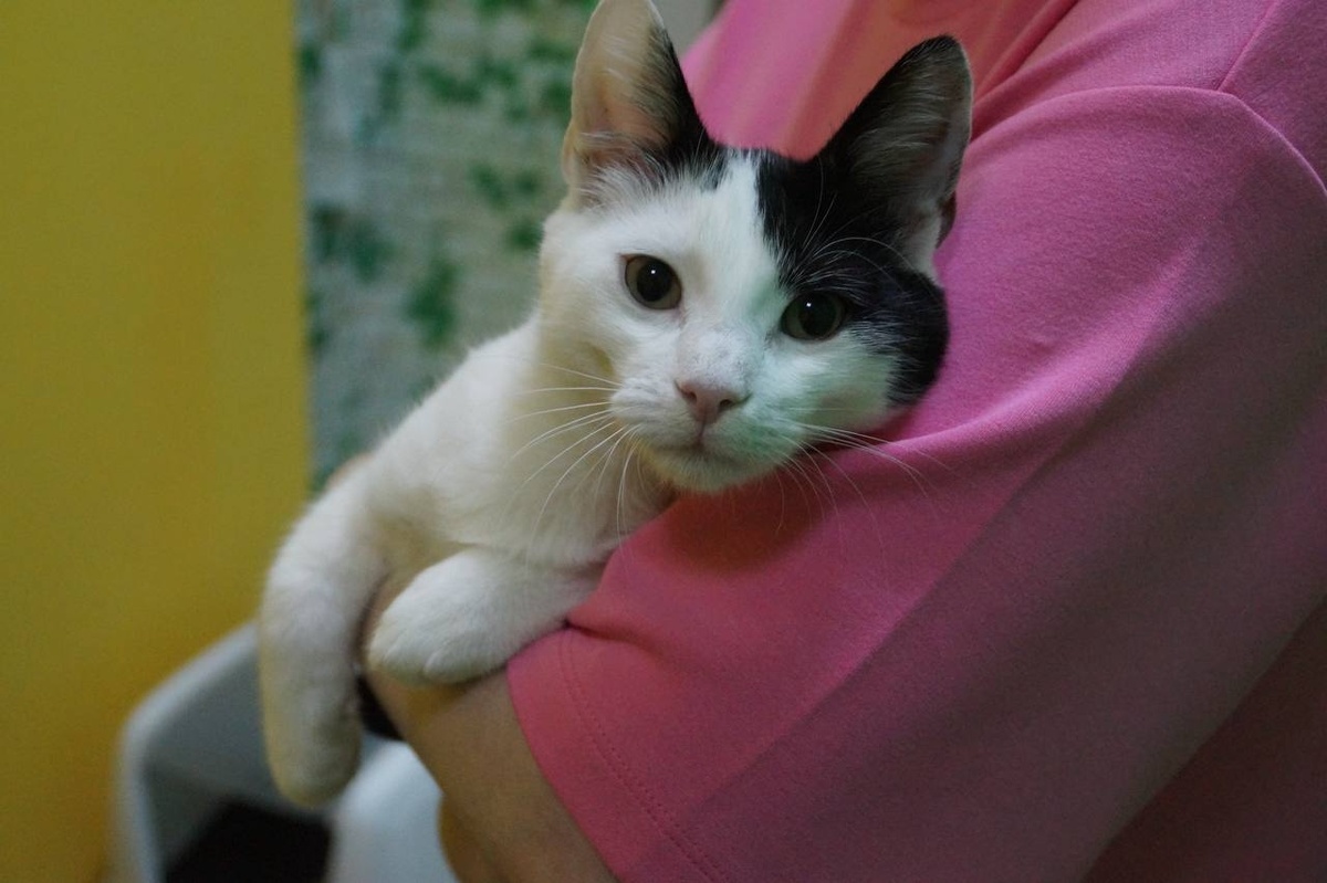 Вот такой был ласковый и общительный подросток