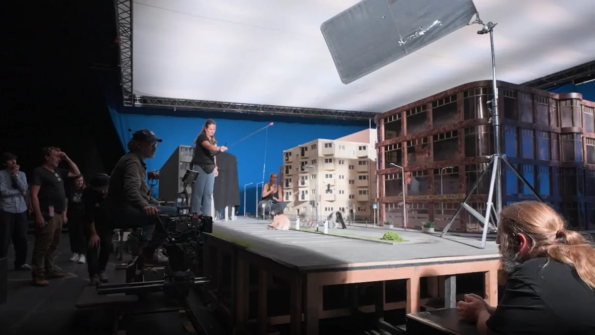 Листайте вправо, чтобы увидеть больше изображений