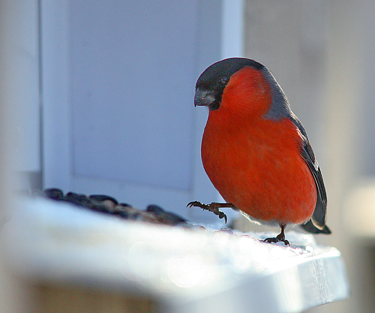 Фото: ИТАР-ТАСС / Владимир Смирнов