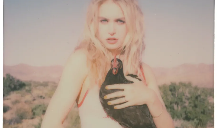 Хрупкая реальность: избранные работы Стефани Шнайдер | Подборка для вдохновения.